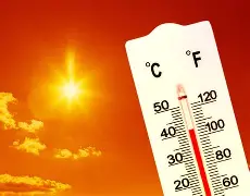 热传：樊振东至今英超出牌最多(关于樊振东夺冠实现大满贯的事件解读)